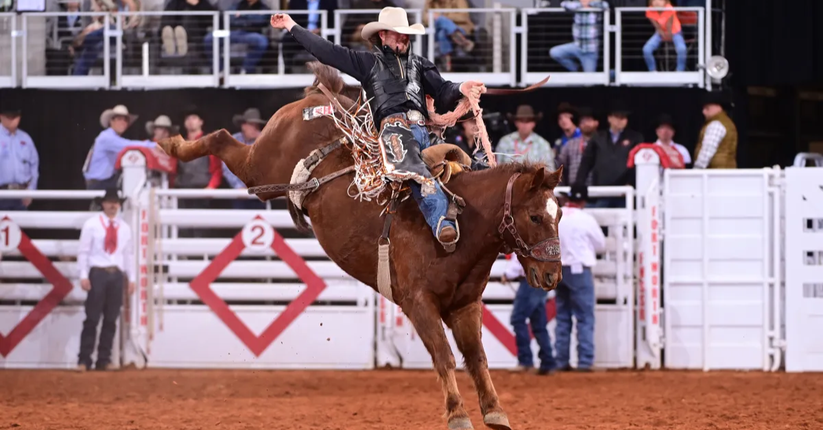 Fort Worth Stock Show 2024: Everything You Need to Know